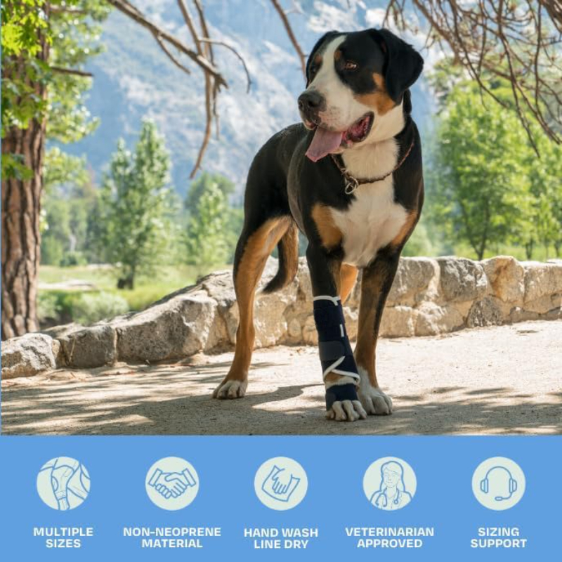 Carpal Hyperextension Dog Brac - Ankle Mobility Band 리뷰 및 가격
