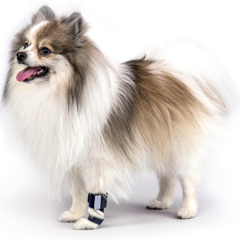 Carpal Hyperextension Dog Brac - Ankle Mobility Band 리뷰 및 가격