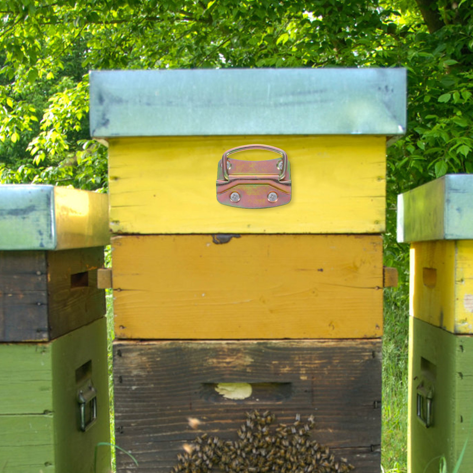 4Pcs Beekeeping Hive Lifting H - Crossfit Lifting 리뷰 및 가격